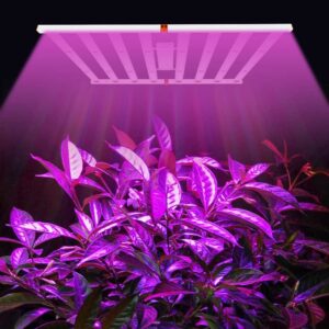 Full spectrum LED strip grow lights