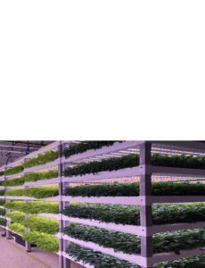 Greenhouses-Product-Adaptation