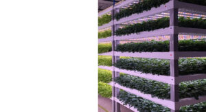 Greenhouses-Product-Adaptation