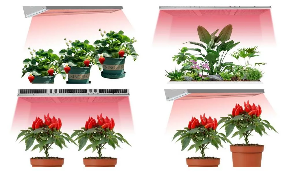 High-Quality Full Spectrum LED Grow Light