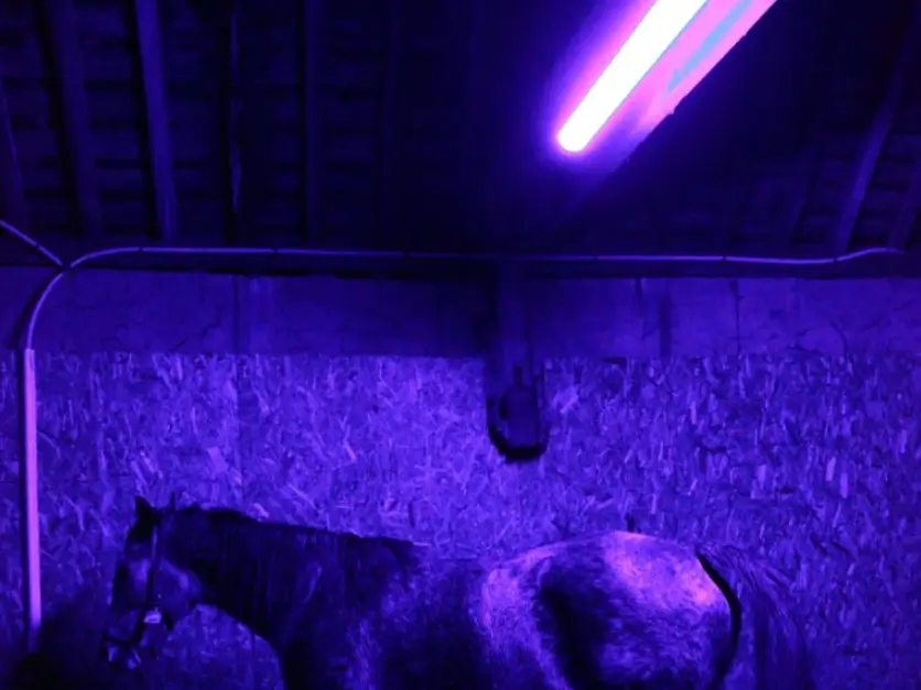 Horse Stable Applications