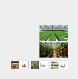 How to Address Inadequate Lighting Effect of LED Grow Lights
