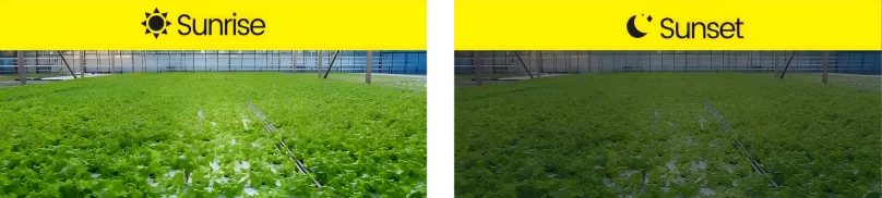 How to Solve the Problem of Complex Operation of LED Grow Lights