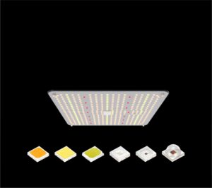 How to Solve the Problem of High Energy Consumption of LED Grow Lights
