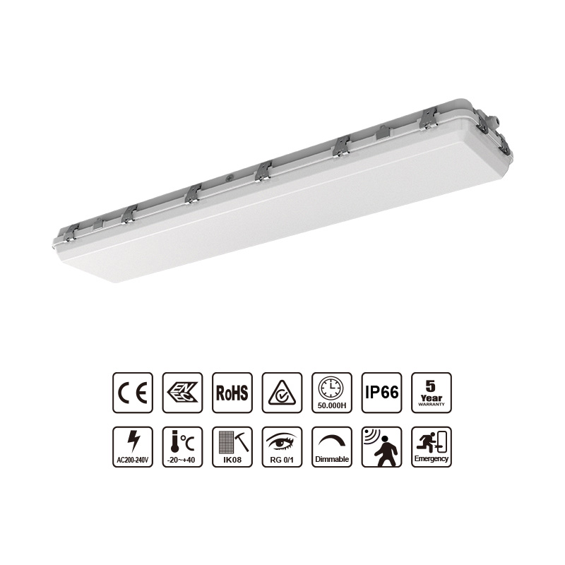 IP66 LED Tri-proof Light L10-G