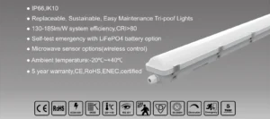 L10-K Introduction image