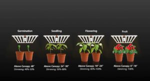 LED Grow Light Bar Application