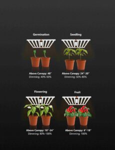 LED Grow Light Bar Application