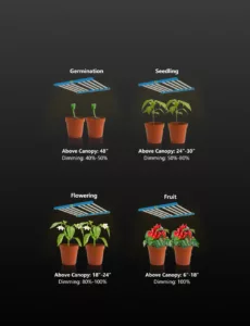LED Grow Light Bar Application