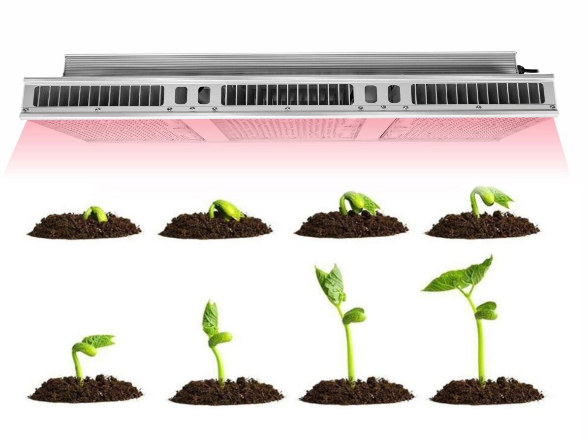 LED Grow Light Seeds Planting