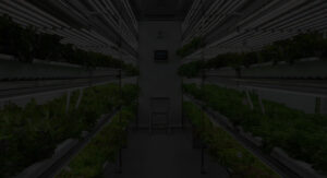 LED Grow Light Solution for Vertical Farms