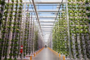 LED Lighting
