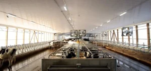 LED Lighting for Farmyard