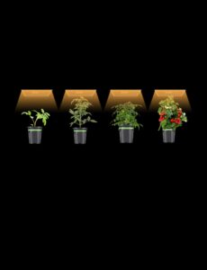 LED Lights Grow Lights - 2.8 µmolJ