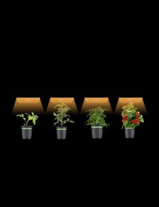 LED Lights Grow Lights - 2.8 µmolJ