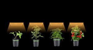 LED Lights Grow Lights - 2.8 µmolJ