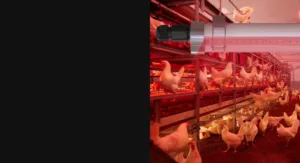 LED Tri-proof Light 180° (2)