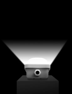 LED Tri-proof Light L10-G (5)