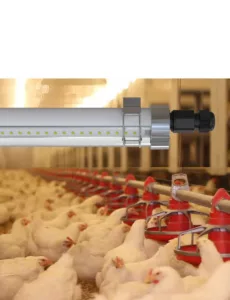 LED Tri-proof Light L9M (5)