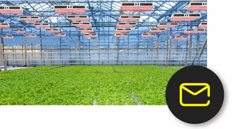 Lack of Professional Planting Guidance, Don't Know How to Match the Use of Plant Lights