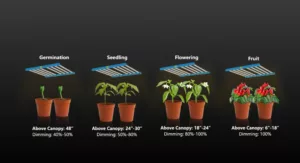 Octopus LED Grow Light Bar Application