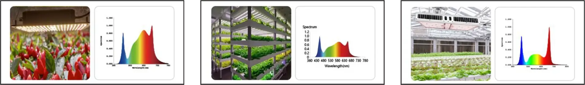 Pain-Point-Solutions-for-LED-Grow-Lights