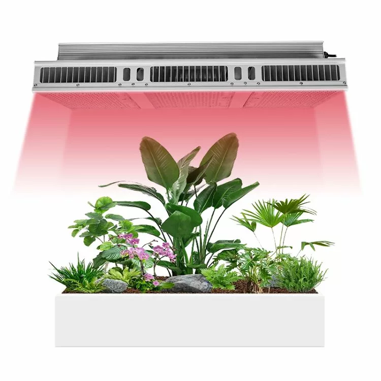 Plant grow lights are used for plants