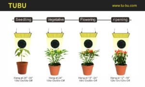 Popular Quantum Board Grow Lights