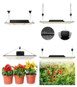 Quantum Board Grow Lights