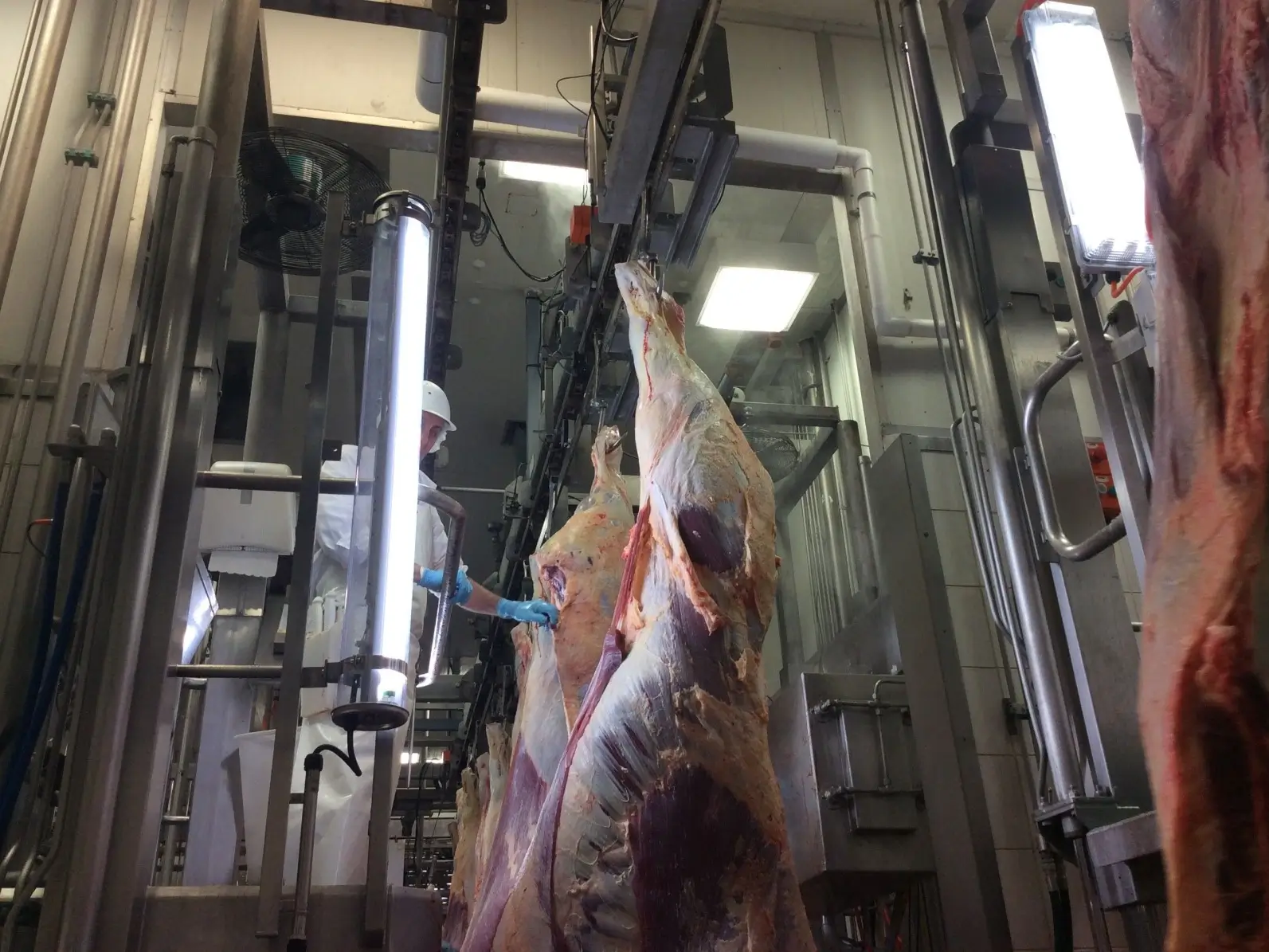 Slaughterhouse Applications