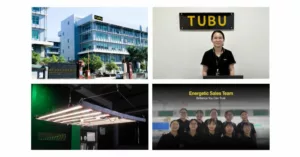 TUBU Company