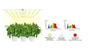 Vertical Agriculture LED Grow Light Bar