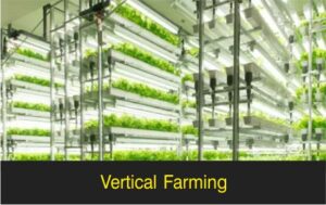 Vertical Farming