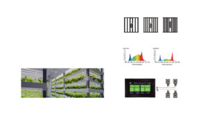 Vertical-Farms-Product-Adaptation
