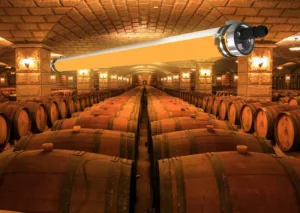 Wine Cellar Lighting Applications