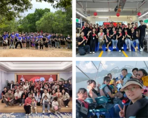 about us_Our Values