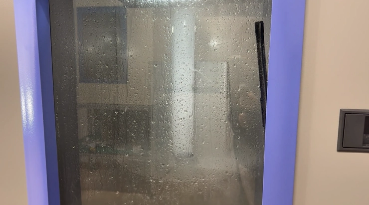 cold washdown spray hitting