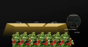 with Dimming Daisy Chain Switch Function